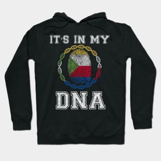 Comoros  It's In My DNA - Gift for Comoran From Comoros Hoodie